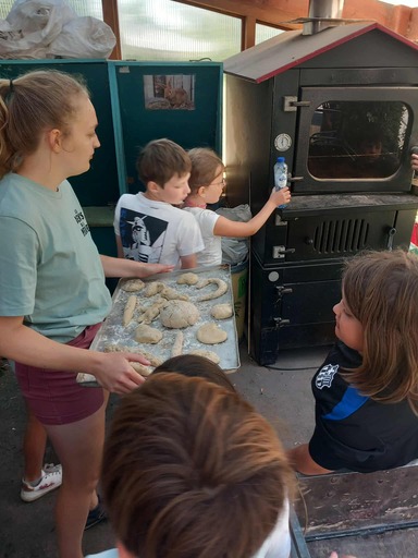 515356193 1295933339199054 4175609035719579751 n