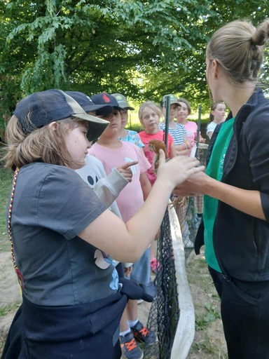 515356193 1295933339199054 4175609035719579751 n