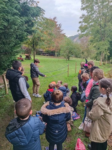 conte saint joseph remouchamps école fondamentale maternel primaire 1