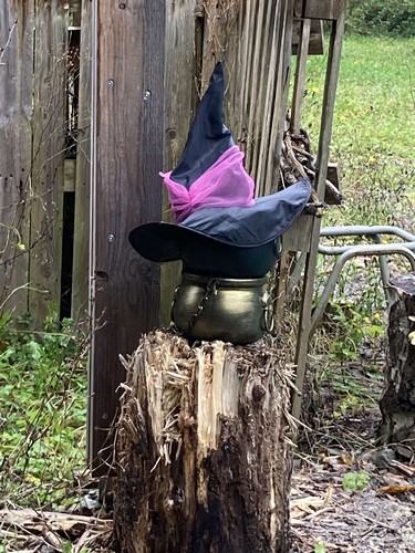 conte saint joseph remouchamps école fondamentale maternel primaire 1