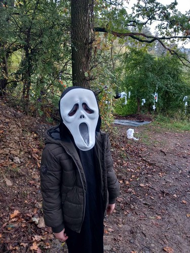 conte saint joseph remouchamps école fondamentale maternel primaire 1