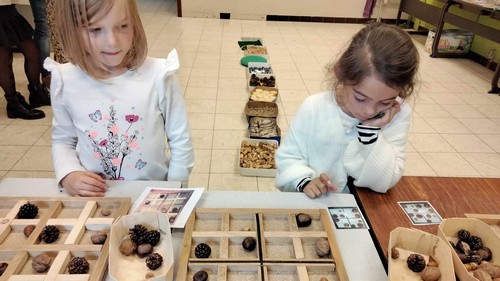 ff saint joseph remouchamps école fondamentale maternel primaire 4