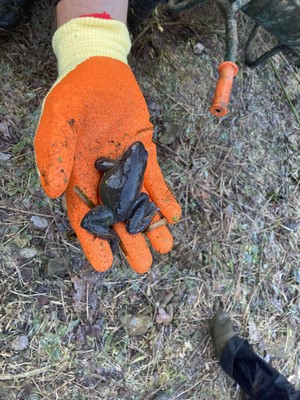 mare saint joseph remouchamps école fondamentale maternel primaire 5