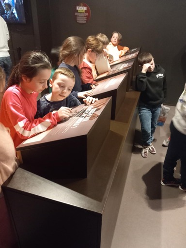 495126605 1247191487406573 2107751451285558283 n