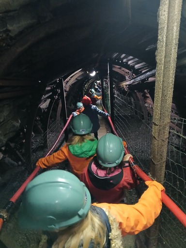 555782629 1371517334973987 1827037921983425781 n