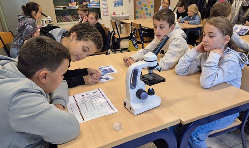 558093860 1378730910919296 3311051794021952645 n