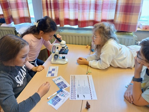 558093860 1378730910919296 3311051794021952645 n